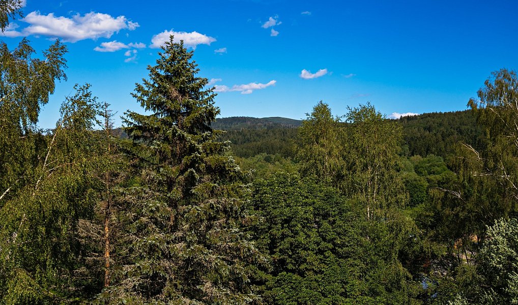 Prodej bytu 2+kk 51 m², Německo – náhled fotky 8