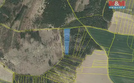 Prodej lesa 8 547 m², Stehlovice, okres Písek