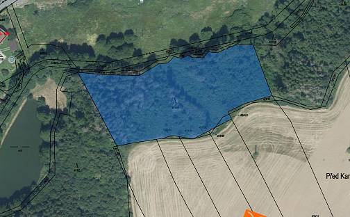 Prodej lesa 7 841 m², Přibyslav, okres Havlíčkův Brod
