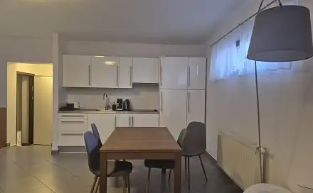 Pronájem bytu 1+kk 60 m², Francouzská, Brno - Zábrdovice