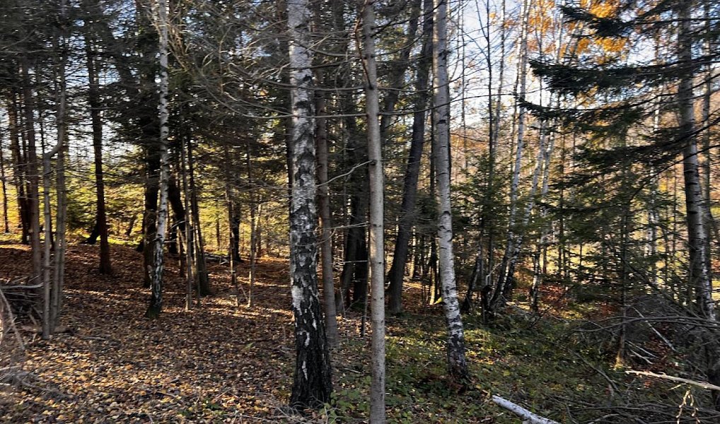 Prodej stavebního pozemku 3 129 m², Chvalčov – náhled fotky 13