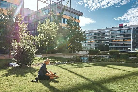 Pronájem kanceláře 800 m² – fotografie 4
