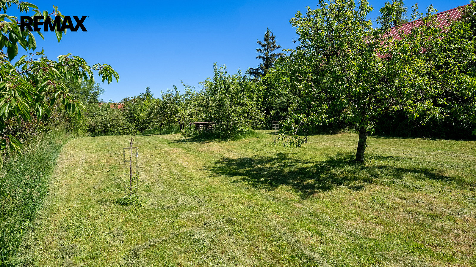 Prodej chaty/chalupy 32 m² s pozemkem 2 446 m² – pohled 5