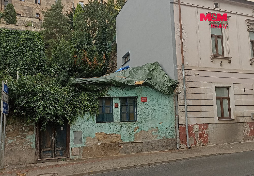Fotka 10 z 13
