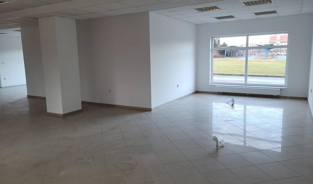 Pronájem obchodních prostor 137 m², Strakonice – náhled fotky 7