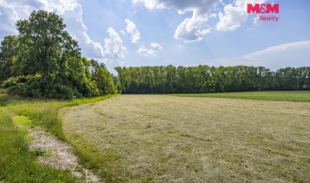 Prodej lesa 11 971 m², Bohuslavice – náhled fotky 6