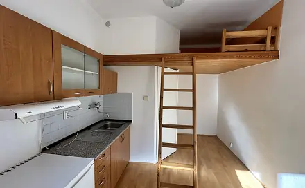 Pronájem bytu 1+kk 13 m², Bělohorská, Praha 6 - Břevnov