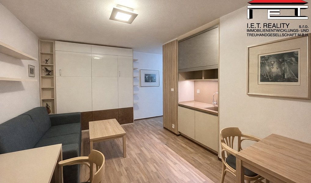 Pronájem bytu 1+kk 23 m², Brno – fotka 1 z 10