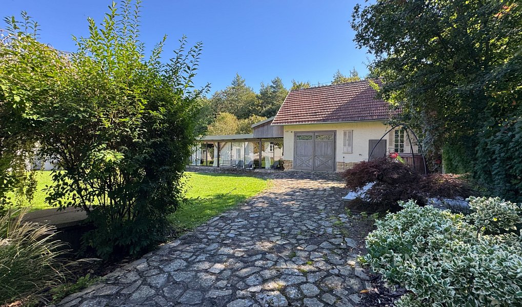 Prodej domu 600 m² s pozemkem 1 097 m², Bošovice – náhled fotky 4