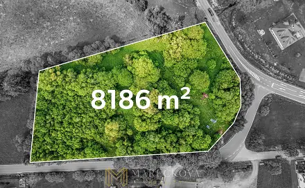 Prodej stavebního pozemku 8 186 m², Stachy, okres Prachatice