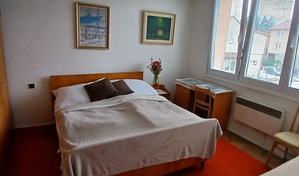 Prodej bytu 2+1 44 m², Kamenice nad Lipou – náhled fotky 4