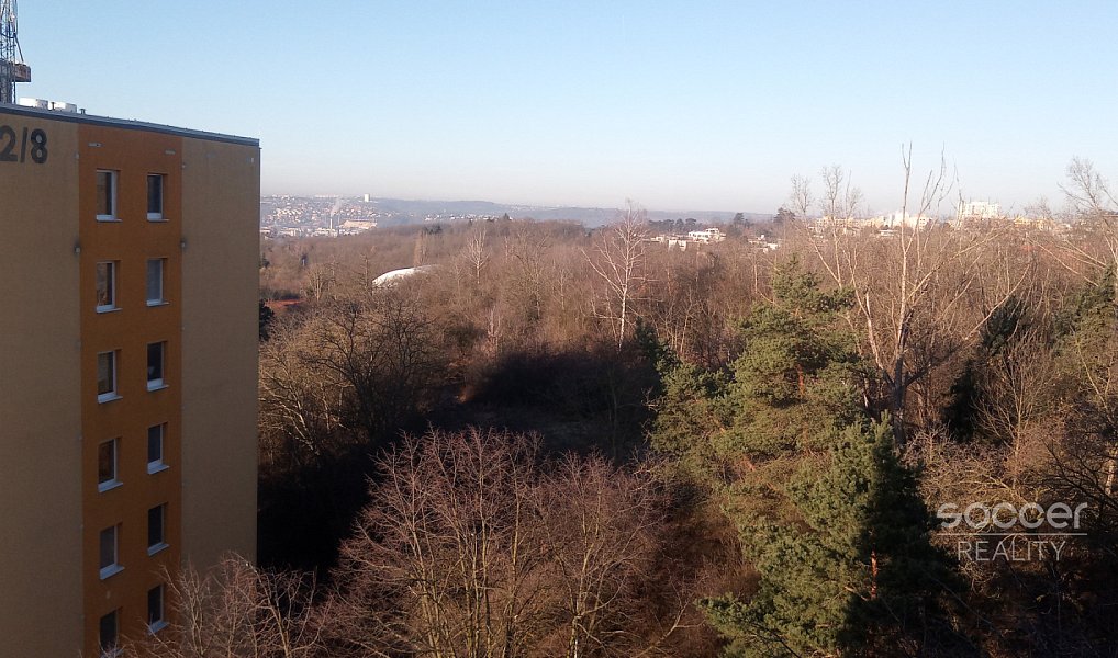Pronájem bytu 1+kk 25 m², Praha – náhled fotky 6