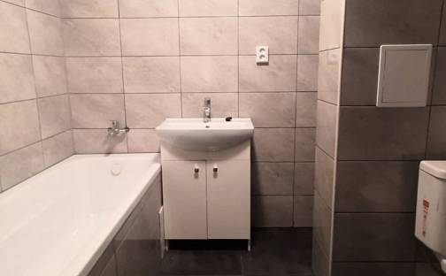 Pronájem bytu 1+1 35 m², Zdeňka Štěpánka, Most