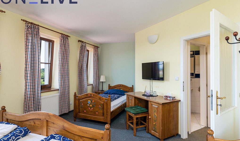 Prodej komerčního objektu (jiného typu) 450 m², Přimda – náhled fotky 5