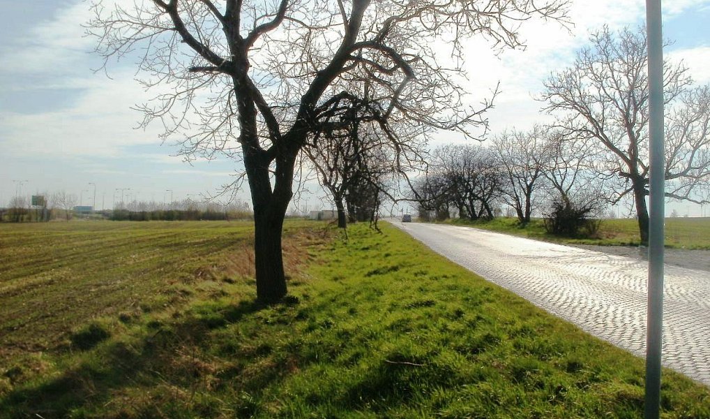 Prodej komerčního pozemku 18 000 m², Olomouc – náhled fotky 2