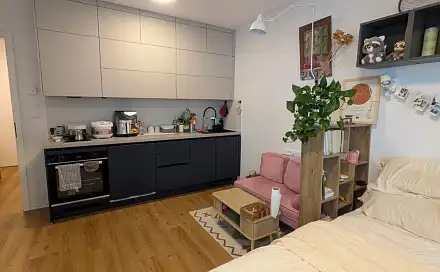 Pronájem bytu 1+kk 27 m²