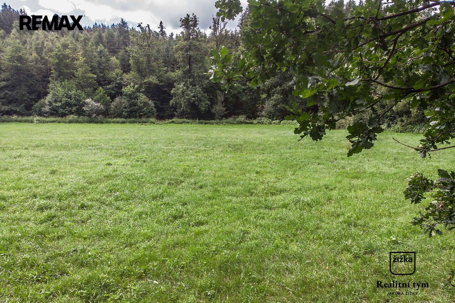 Prodej louky 1 169 m²