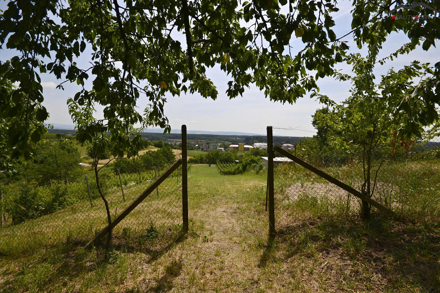 Prodej pole 2 460 m² — photo 5