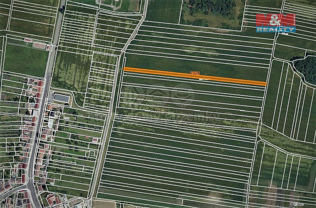 Prodej pole 250 m² – fotografie 3