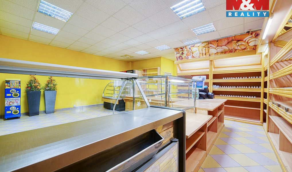 Pronájem obchodních prostor 86 m², Třemošná – náhled fotky 10