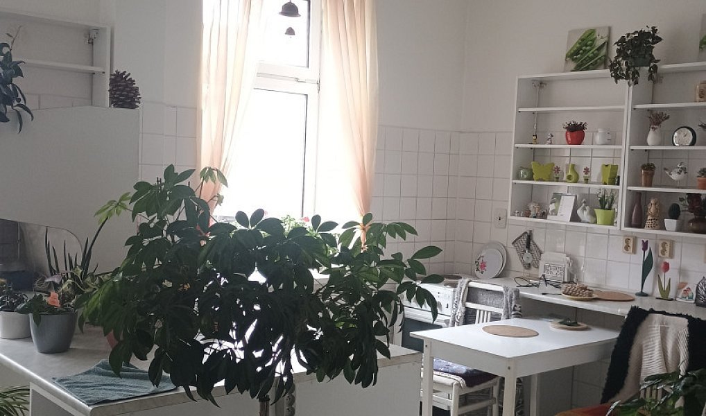Pronájem obchodních prostor 270 m², Děčín – náhled fotky 3