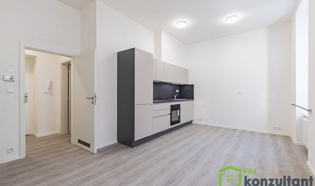 Pronájem bytu 1+kk, 27 m², Veveří - Brno-město, Brno