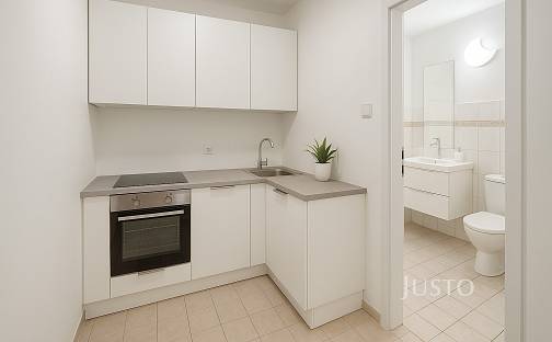 Pronájem bytu 1+1 30 m², Pražská, Písek - Pražské Předměstí