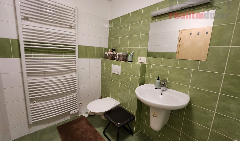 Prodej bytu 1+kk 55 m², Říčky v Orlických horách – náhled fotky 10