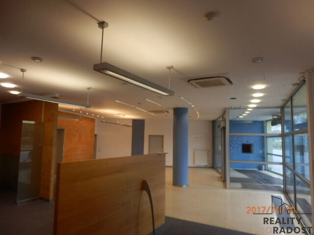 Pronájem obchodních prostor 197 m² – fotografie 5