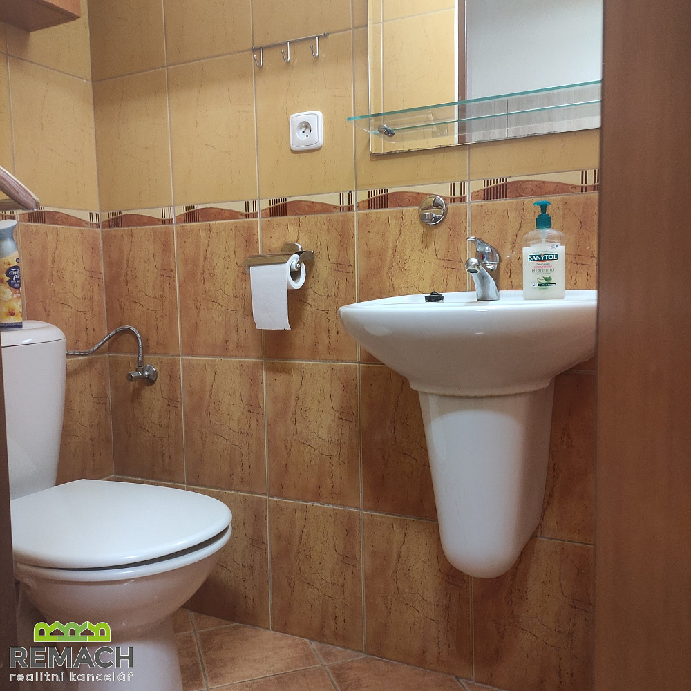 Pronájem bytu 1+1 35 m² – fotografie 4