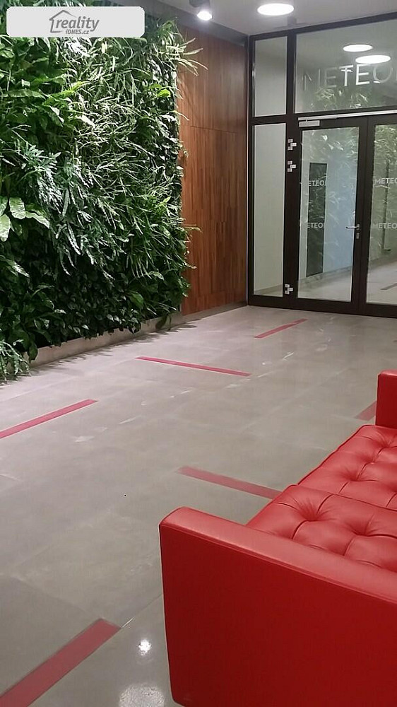 Pronájem kanceláře 485 m² — photo 3