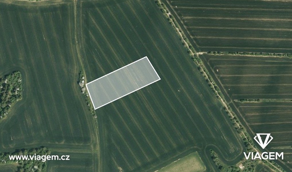 Prodej pole 1 819 m², Zborovice – náhled fotky 2