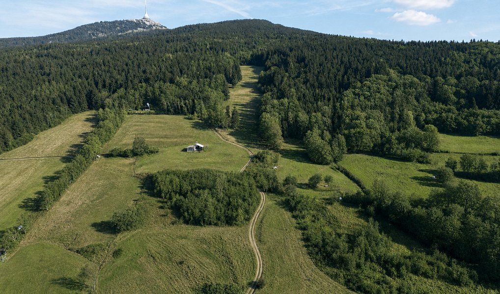 Prodej stavebního pozemku 1 643 m², Světlá pod Ještědem – náhled fotky 3