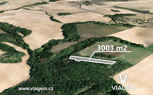 Prodej lesa 3 003 m², Medlice, okres Znojmo