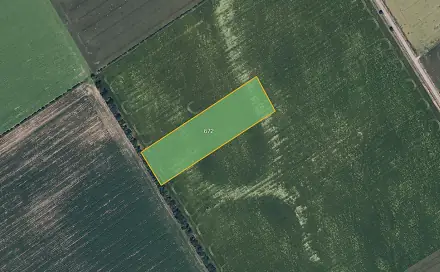 Prodej pole 5 425 m², Olšany u Prostějova, okres Prostějov