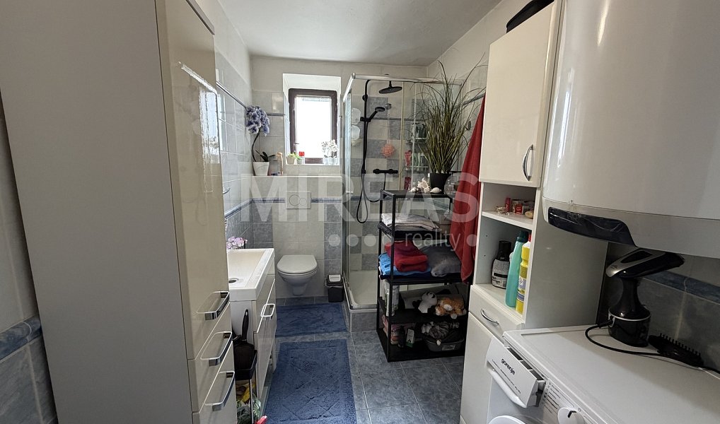 Pronájem bytu 2+1 62 m², Velké Všelisy – náhled fotky 8