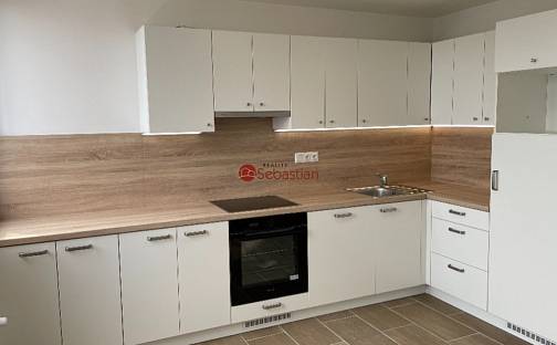 Pronájem bytu 3+kk 80 m², Antonína Sochora, Teplice - Trnovany