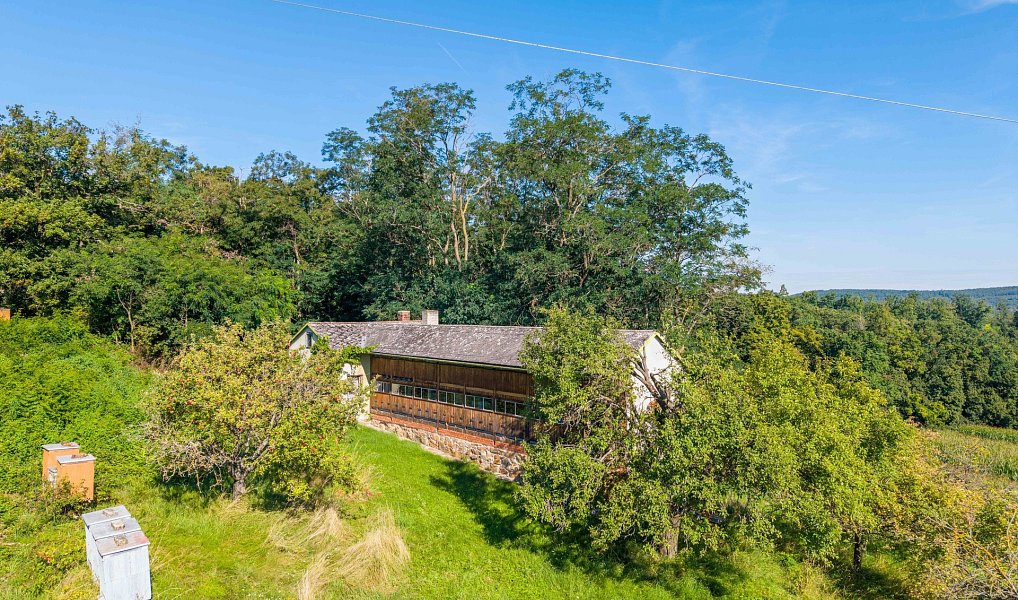 Prodej komerčního objektu (jiného typu) 71 m², Mikulovice – náhled fotky 7