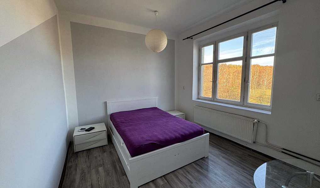 Prodej nájemního domu, činžáku 1 165 m², Šluknov – náhled fotky 13