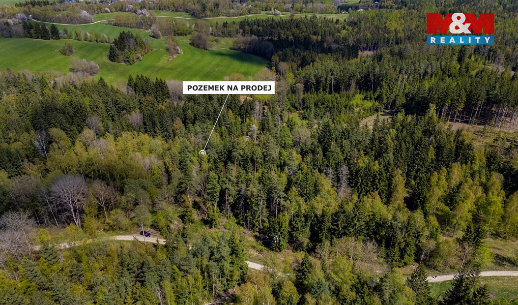 Prodej lesa 11 203 m², Železný Brod – náhled fotky 8