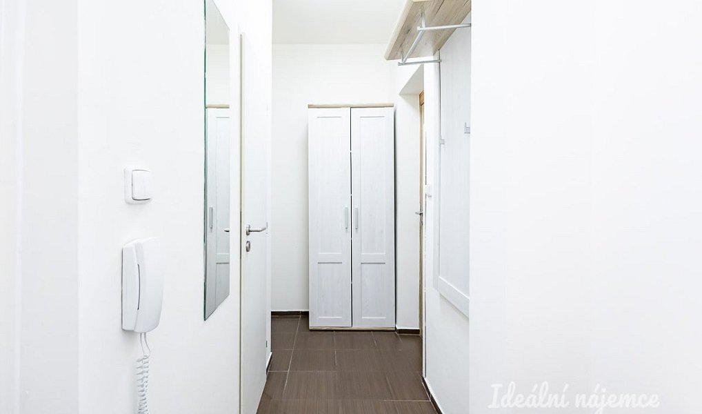Pronájem bytu 2+kk 40 m², Praha – náhled fotky 6