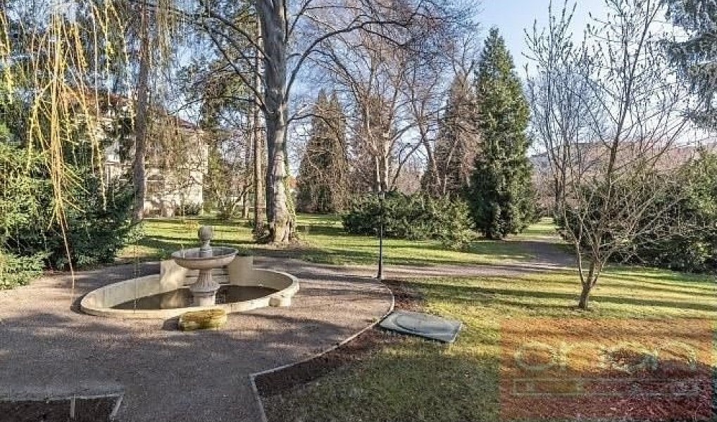 Pronájem domu 827 m² s pozemkem 8 770 m², Praha – náhled fotky 13