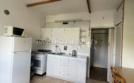 Pronájem bytu 1+1 35 m²