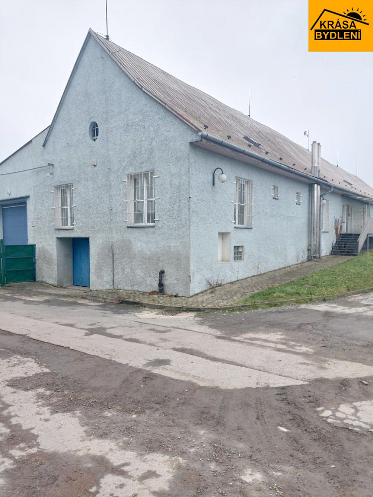 Pronájem obchodních prostor 500 m² — photo 4