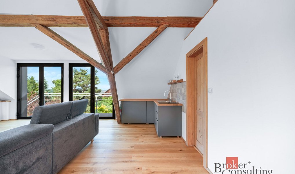 Prodej domu 450 m² s pozemkem 3 336 m², Lhotka – náhled fotky 44