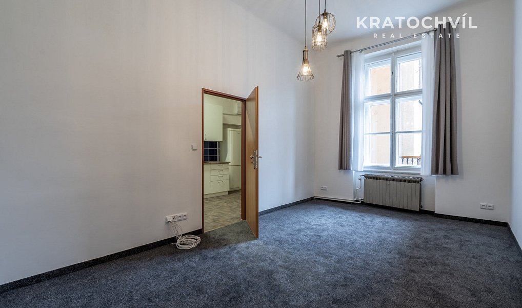 Pronájem bytu 3+kk 101 m², Praha – náhled fotky 10