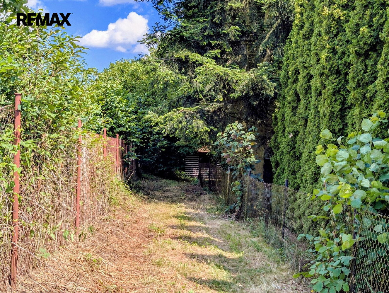 Prodej stavebního pozemku 1 590 m² – fotografie 5