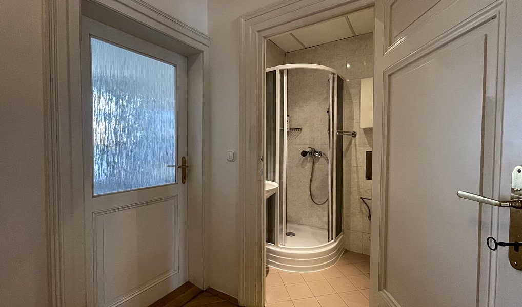 Pronájem bytu 1+1 62 m², Praha – náhled fotky 10