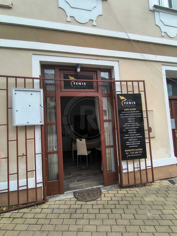 Pronájem obchodních prostor 20 m² – fotografie 2