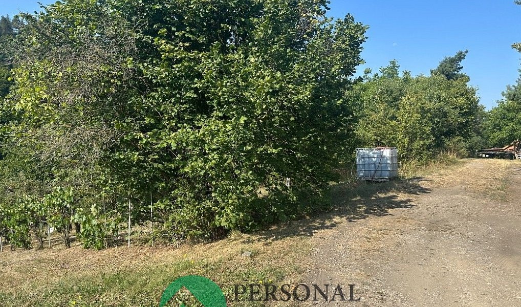 Prodej zahrady 330 m², Rakovník – náhled fotky 3